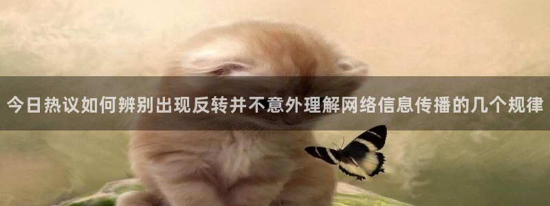热门事件排行