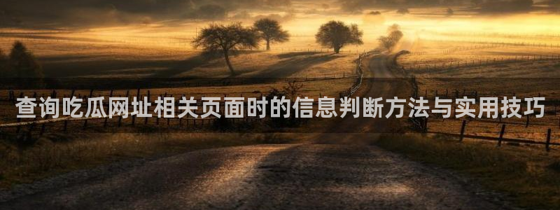黑料今日事件：查询吃瓜网址相关页面时的信息判断方法与实用技巧