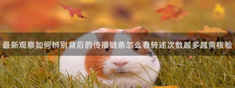 黑料热门新闻:最新观察如何辨别背后的传播链条怎么看转述次数越多越需核验