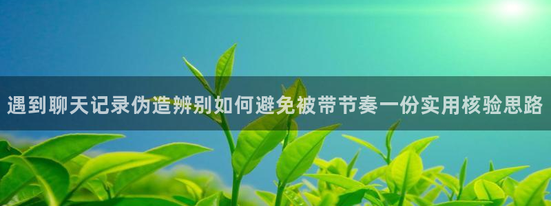 每日网络热点:遇到聊天记录伪造辨别如何避免被带节奏一份实用核验思路