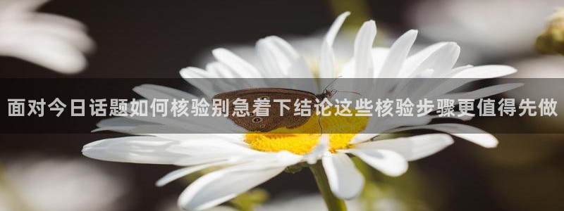 黑料爆料热门事件:面对今日话题如何核验别急着下结论这些核验步骤更值得先做
