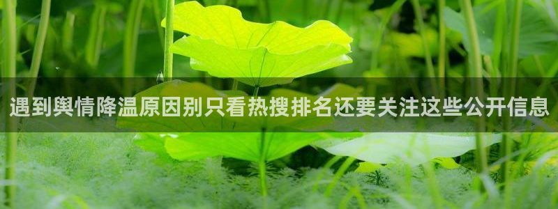 黑料爆料资讯网