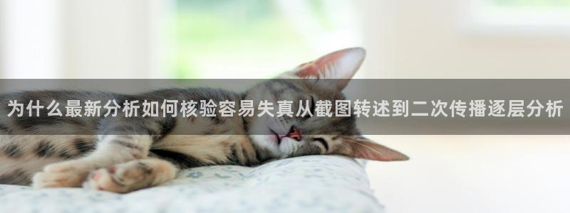 黑料爆料事件动态
